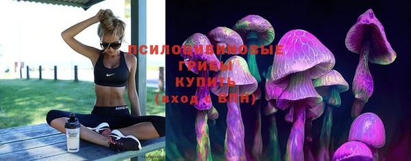тгк Домодедово